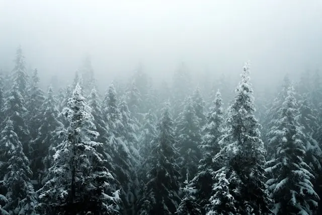 Where We’re Going: A 2026 Vision for Partnership, Integration, and Security